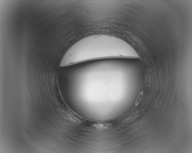 X0000076220990200610051108