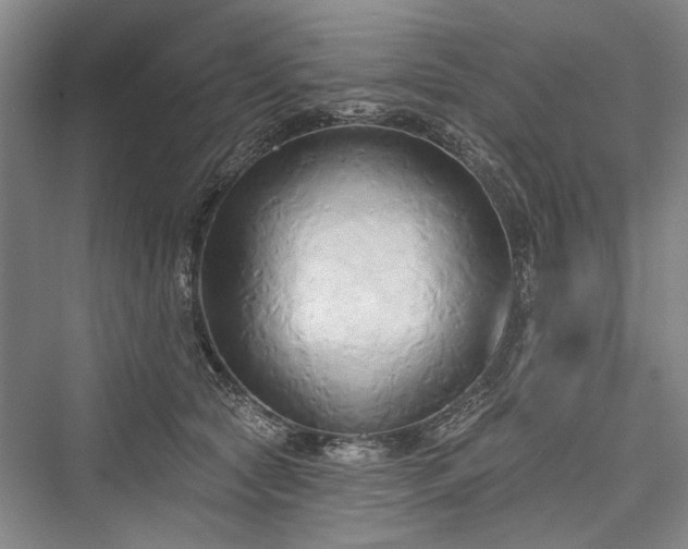 X0000076220993200610051108