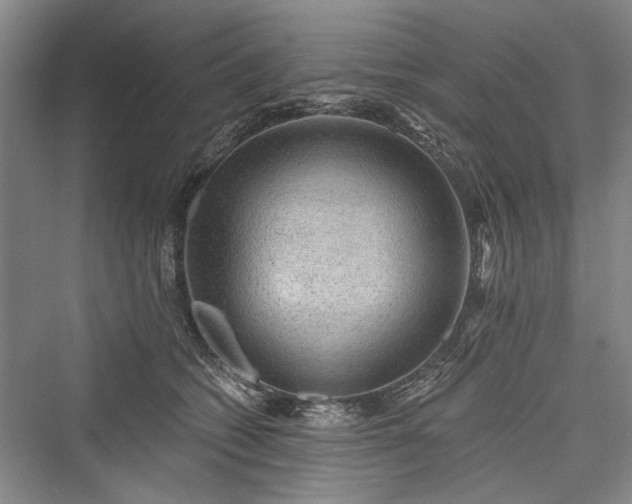 X0000076220994200610051108