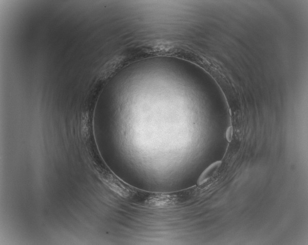 X0000076220995200610051108
