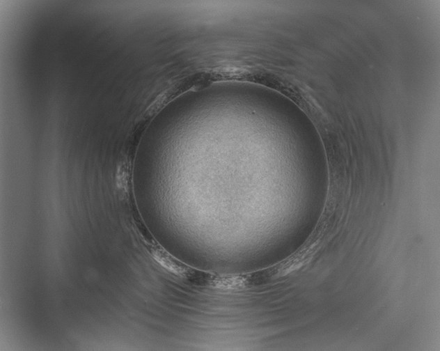 X0000076221008200610051108