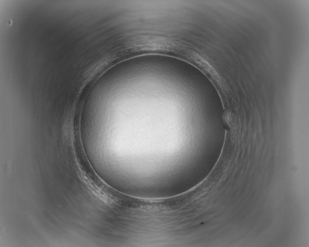 X0000076221010200610051109