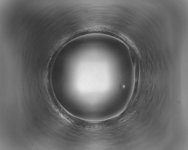 X0000076221013200610051109