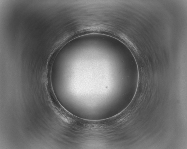 X0000076221014200610051109
