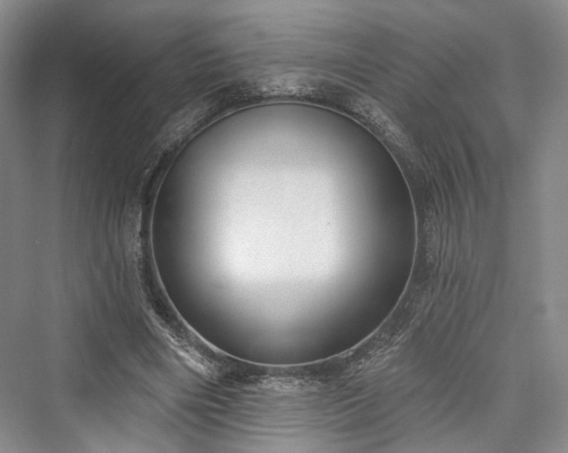 X0000076221018200610051109
