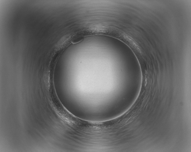 X0000076221022200610051109