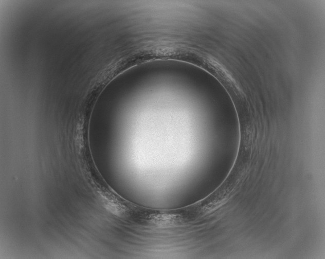 X0000076221025200610051108