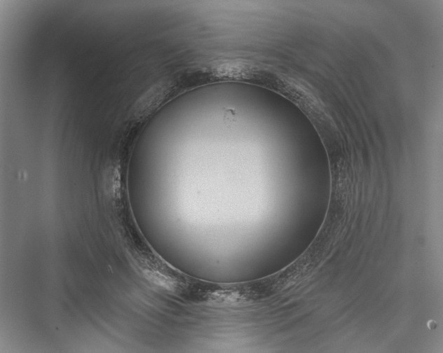 X0000076221030200610051108