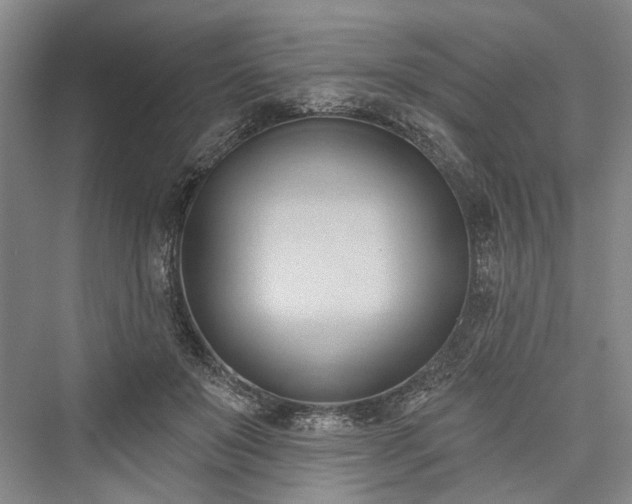 X0000076221031200610051108