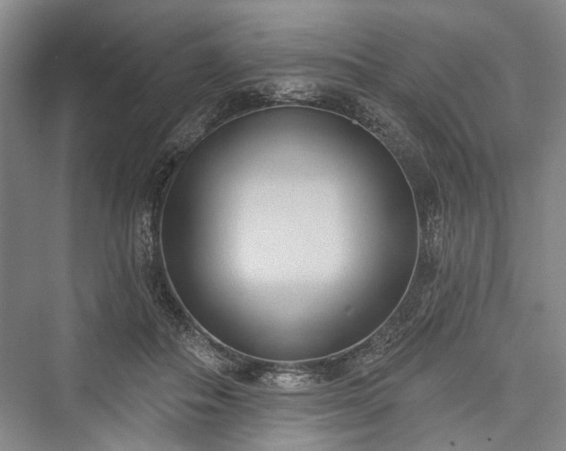 X0000076221034200610051108