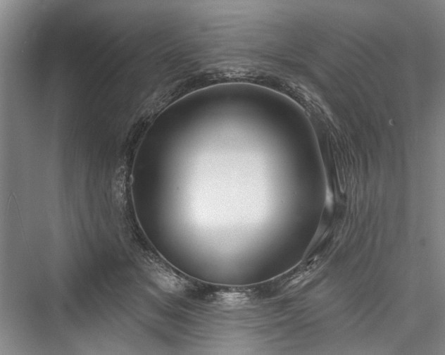 X0000076221037200610051108