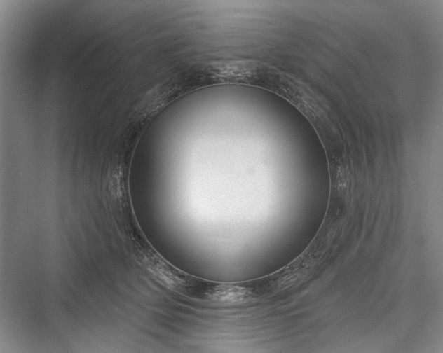 X0000076221042200610051108