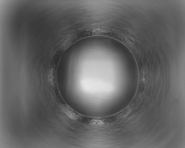 X0000076221047200610051108