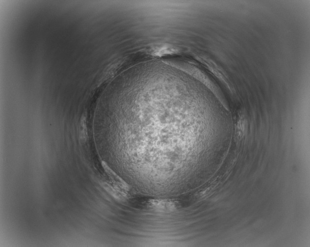 X0000076221048200610051108