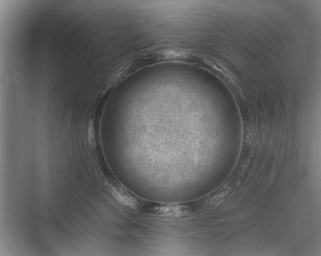 X0000076221052200610051108
