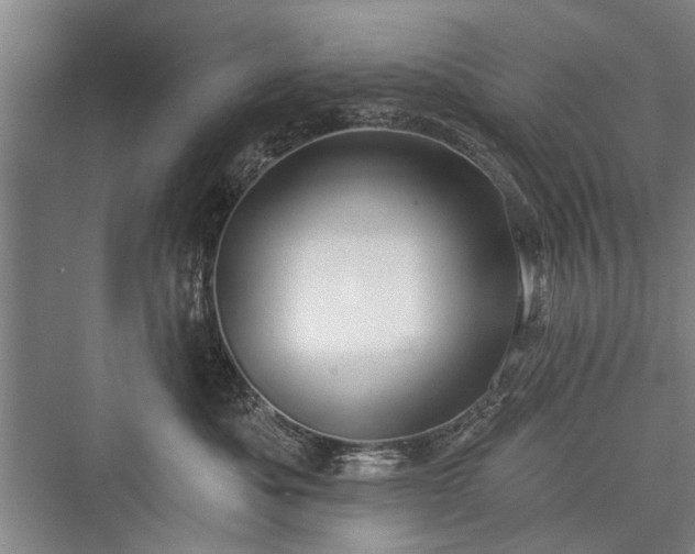 X0000076221053200610051108