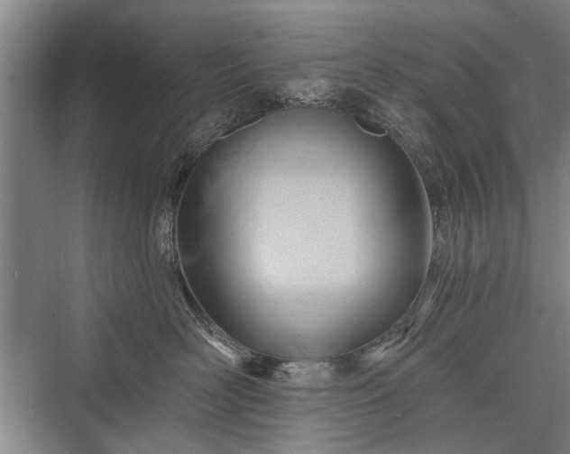 X0000076221054200610051108