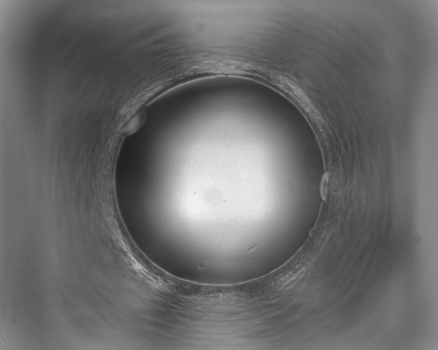 X0000076221057200610051109