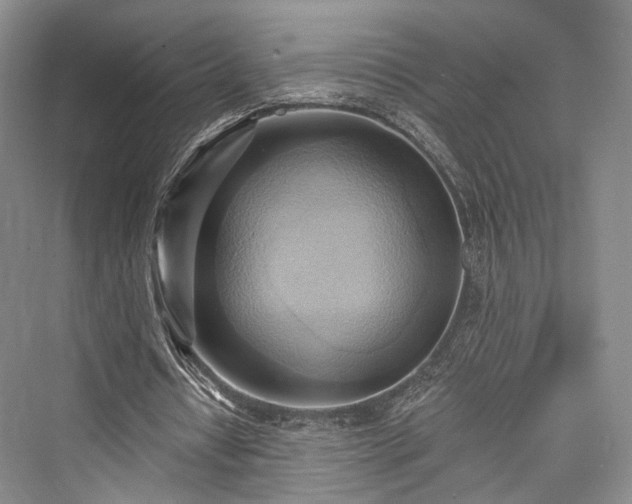 X0000076221058200610051109