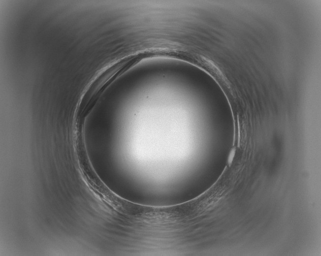 X0000076221059200610051109
