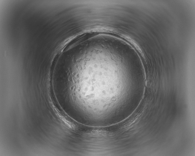 X0000076221061200610051109