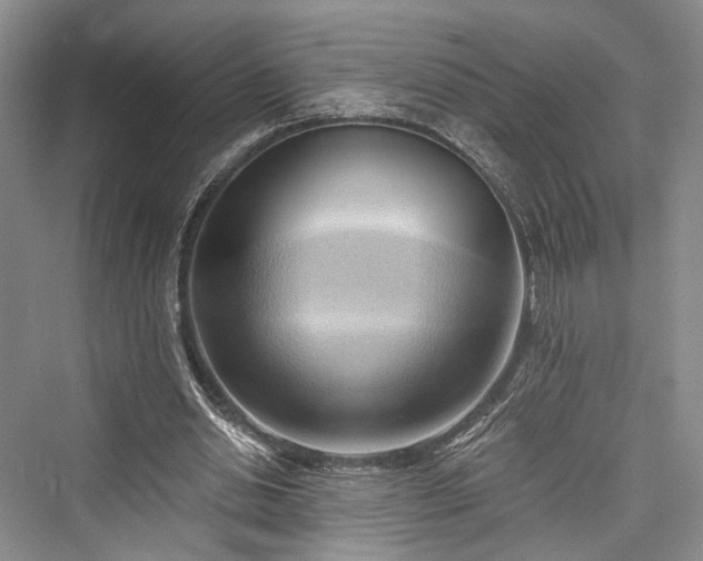 X0000076221062200610051109
