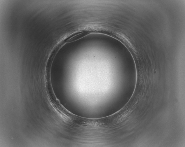 X0000076221063200610051109