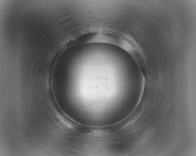 X0000076221065200610051109