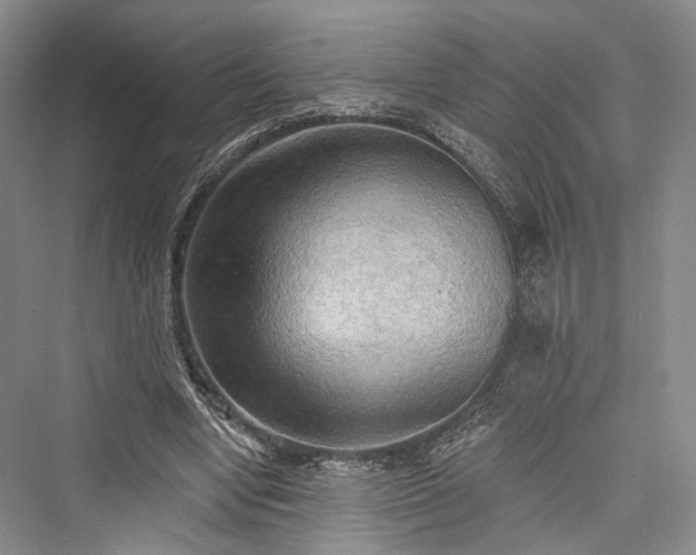 X0000076221066200610051109