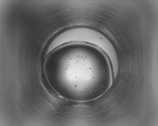 X0000076221068200610051109