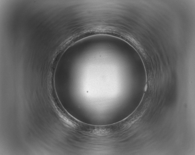 X0000076221069200610051109