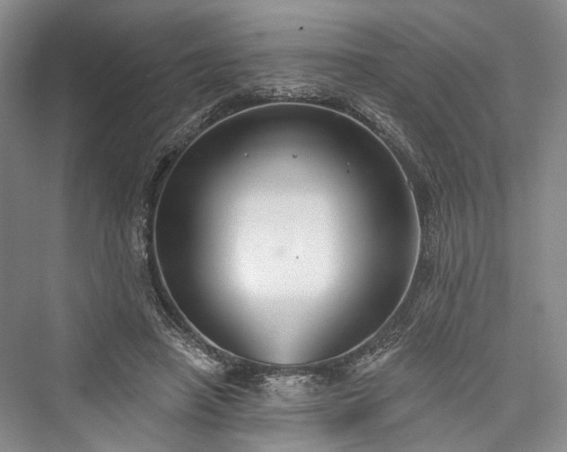 X0000076221074200610051109