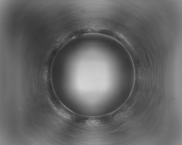 X0000076221075200610051109