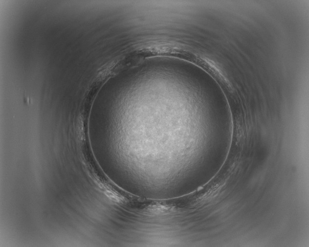 X0000076221077200610051109