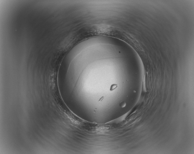 X0000076221086200610051109
