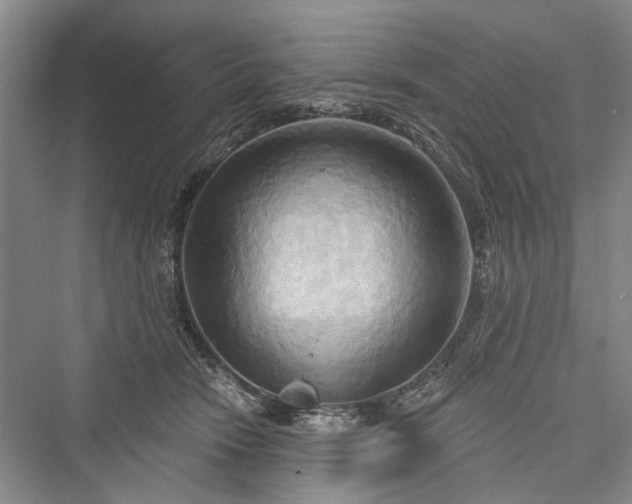 X0000076221090200610051109