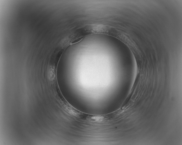 X0000076221102200610051110