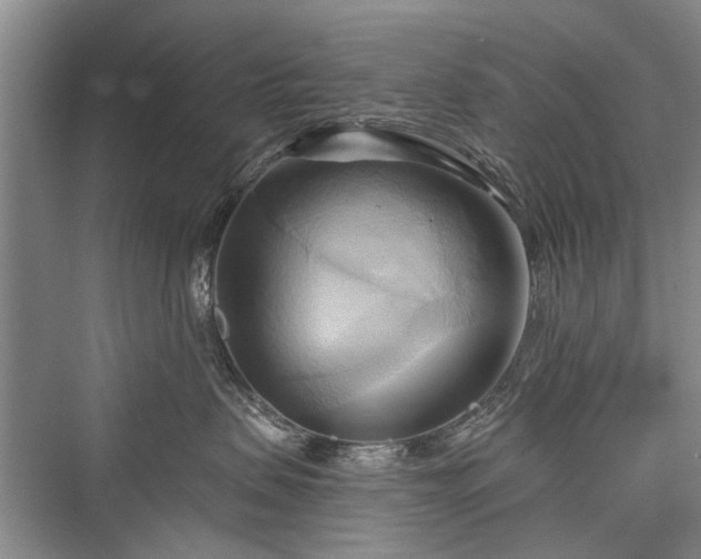 X0000076221103200610051110