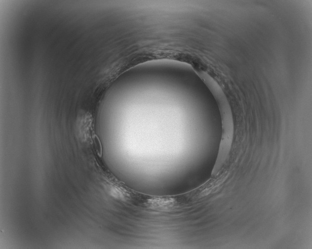 X0000076221104200610051110