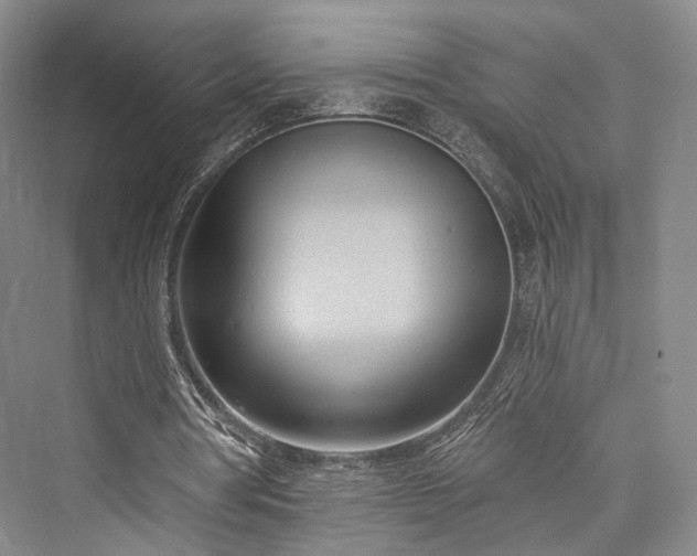 X0000076221106200610051110
