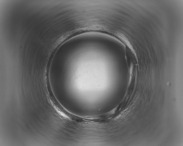 X0000076221109200610051110