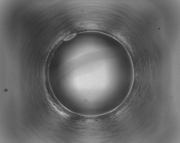 X0000076221110200610051110