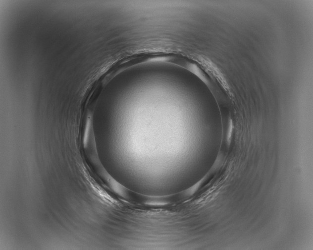 X0000076221113200610051110