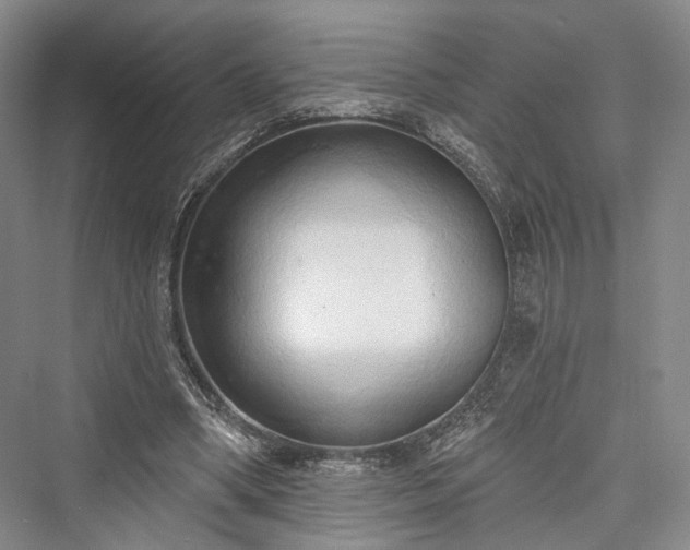 X0000076221114200610051110