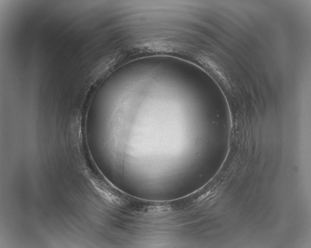 X0000076221118200610051110