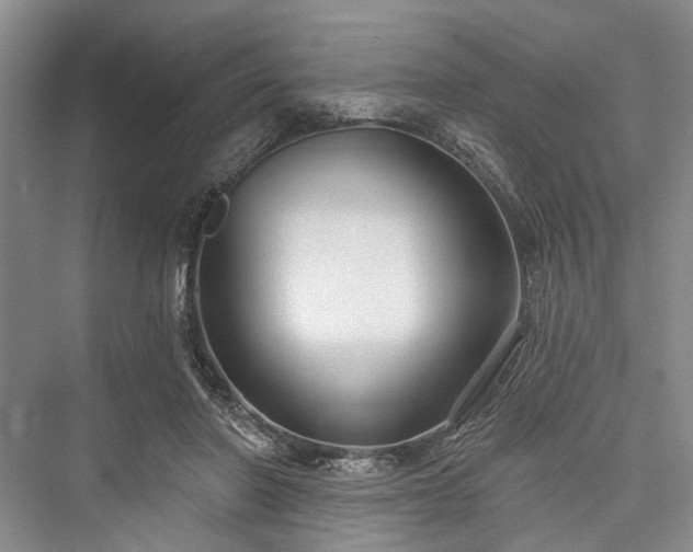 X0000076221126200610051110