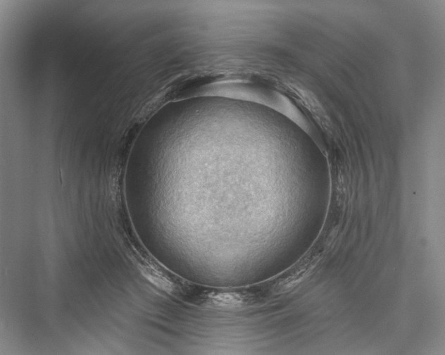 X0000076221129200610051110