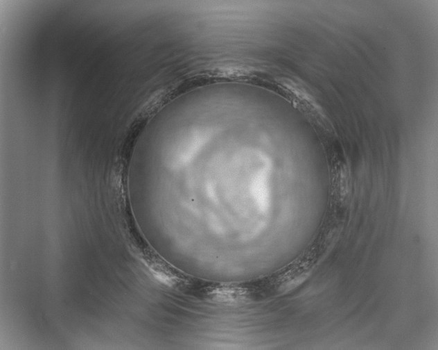 X0000076221135200610051110