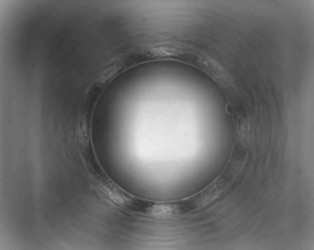 X0000076221138200610051110