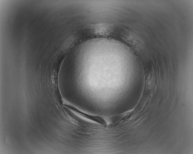X0000076221144200610051110
